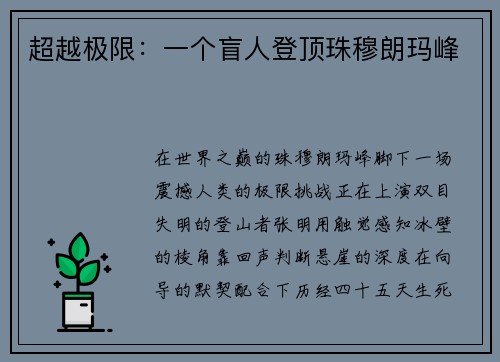 超越极限：一个盲人登顶珠穆朗玛峰